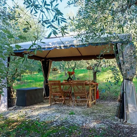 Olive Garden Loft Relax Among Olive Trees And Gazebos * 피렌체