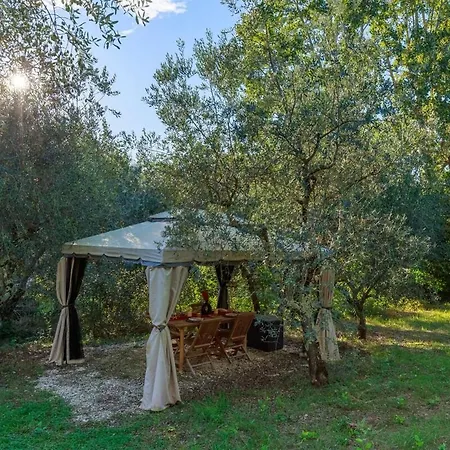 Olive Garden Loft Relax Among Olive Trees And Gazebos 펜션